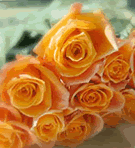 orange_roses.gif